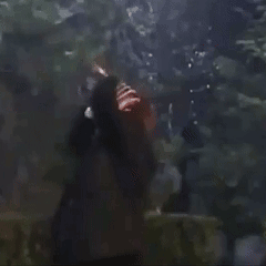 the drop that rocked a chat