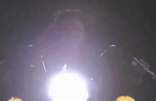 Theresa Lopez-Fitzgerald